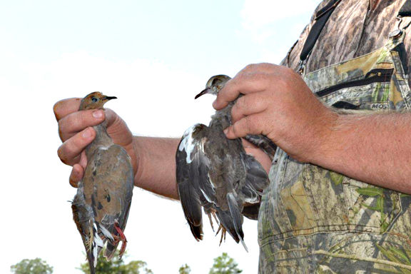 Let the games begin; Hunting seasons open